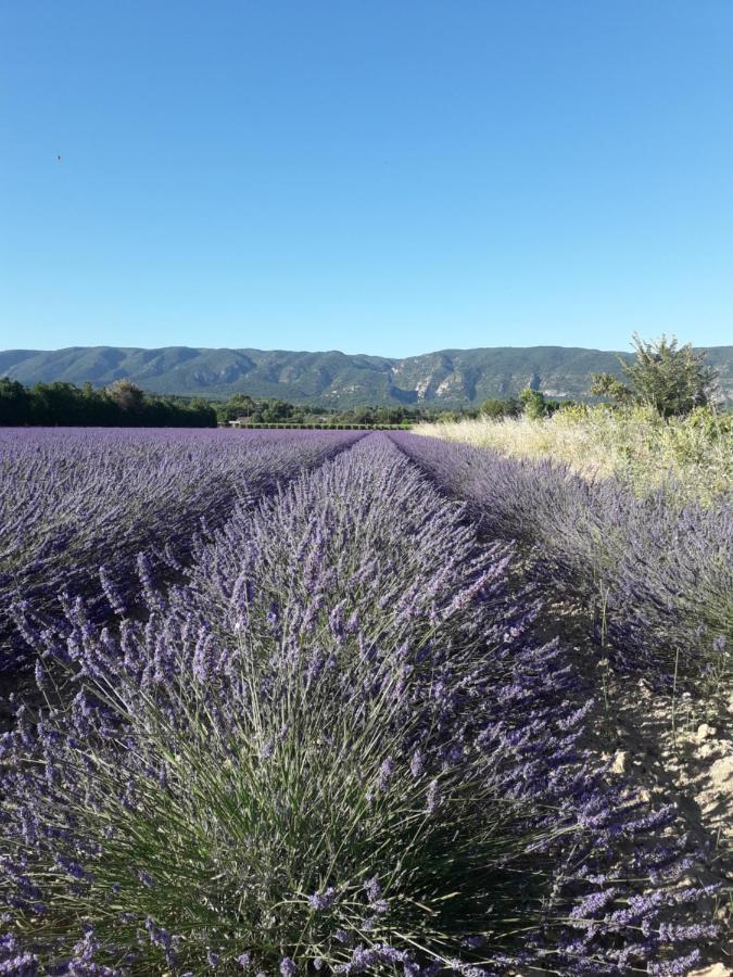 Gite Le Bagnol Un Coin De Paradis Maubec  ภายนอก รูปภาพ