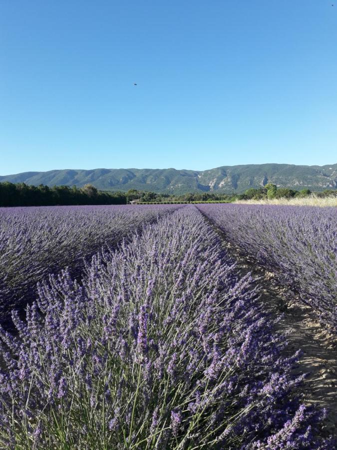 Gite Le Bagnol Un Coin De Paradis Maubec  ภายนอก รูปภาพ
