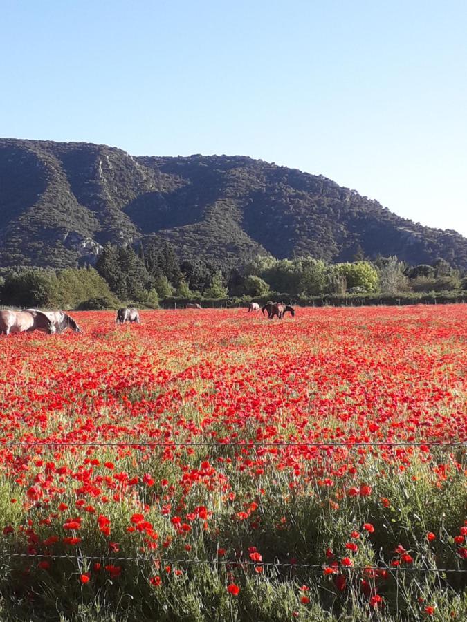 Gite Le Bagnol Un Coin De Paradis Maubec  ภายนอก รูปภาพ