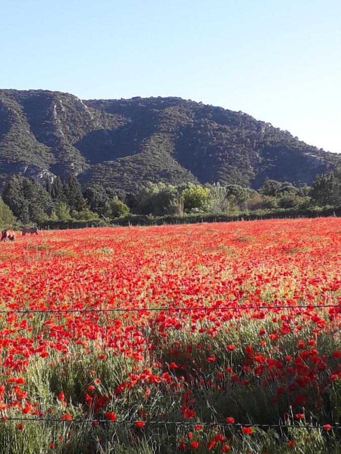 Gite Le Bagnol Un Coin De Paradis Maubec  ภายนอก รูปภาพ
